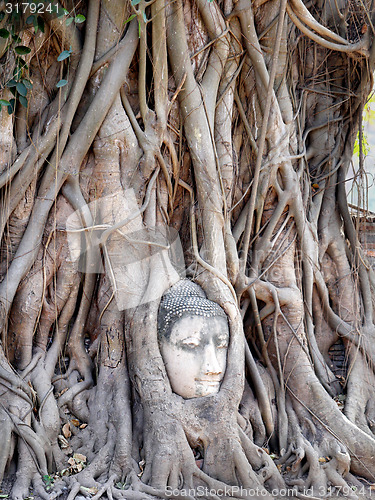 Image of Buddhist temples 