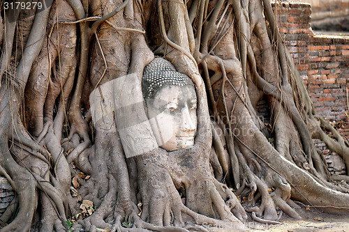 Image of Buddhist temples 