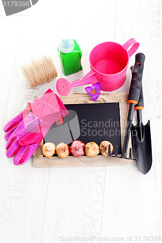 Image of gardening tools