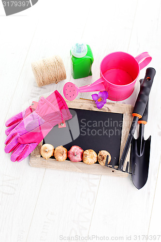 Image of gardening tools