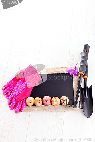 Image of gardening tools