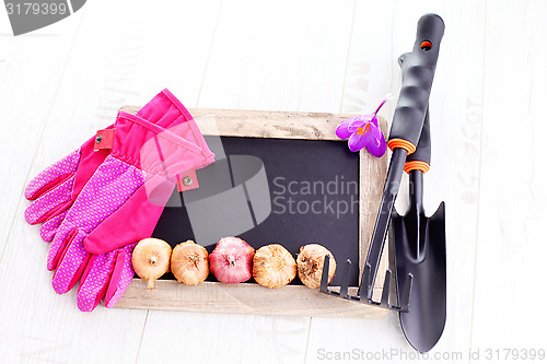 Image of gardening tools