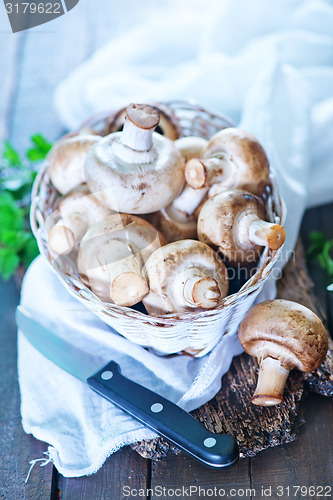 Image of mushrooms