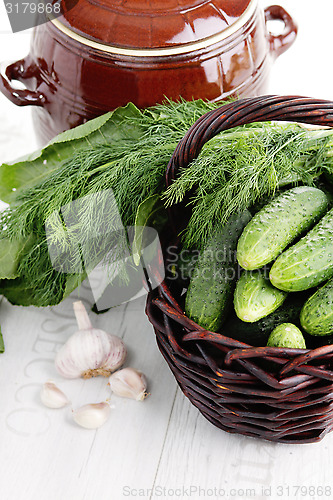 Image of cucumber