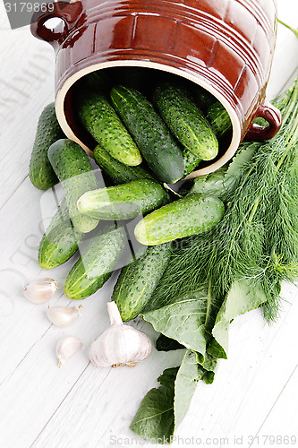 Image of cucumber