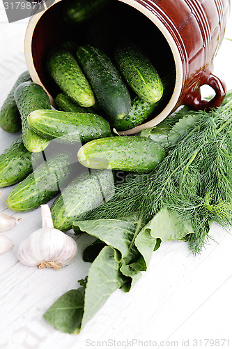 Image of cucumber