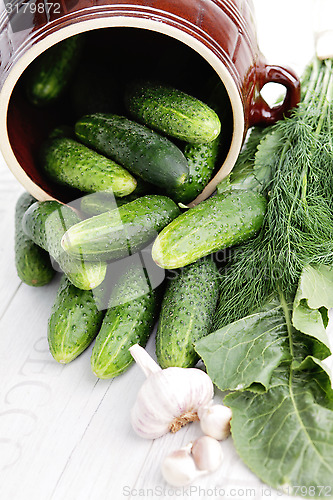 Image of cucumber