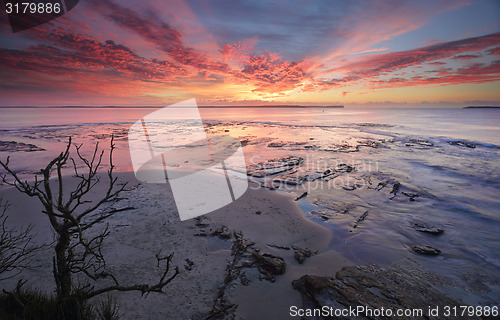 Image of Sunrise Plantation Point Jervis Bay Vincentia