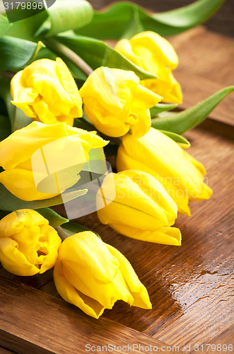 Image of Yellow tulips 