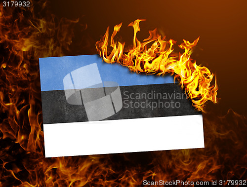 Image of Flag burning - Estonia