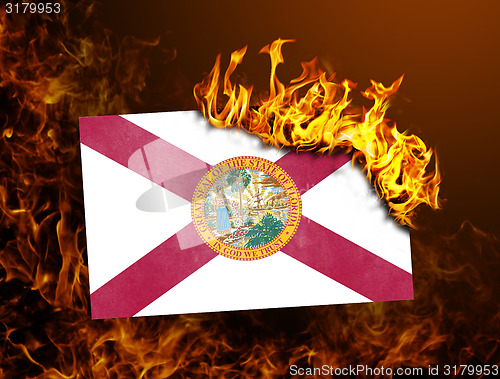 Image of Flag burning - Florida