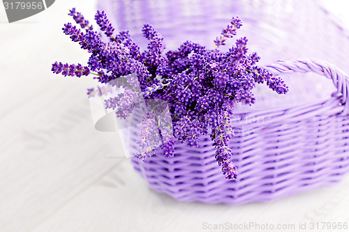 Image of basket of lavende