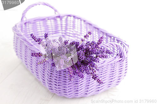 Image of basket of lavende