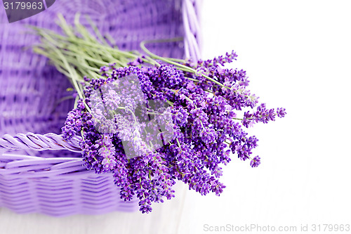 Image of basket of lavende