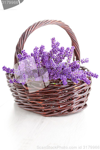 Image of basket of lavende