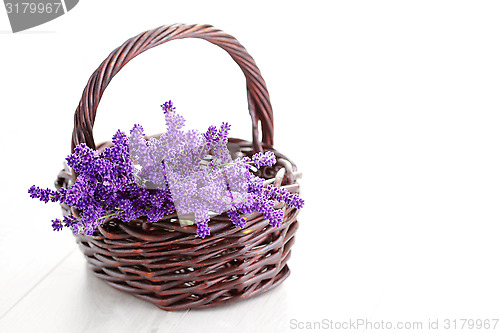 Image of basket of lavende