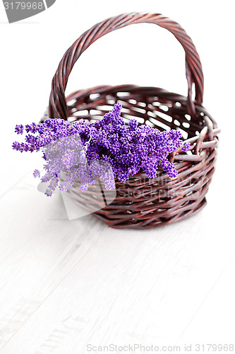 Image of basket of lavende