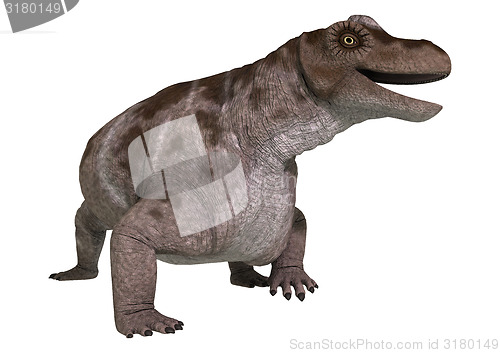 Image of Dinosaur Keratocephalus