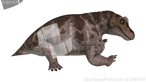 Image of Dinosaur Keratocephalus