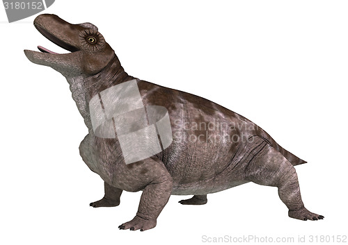 Image of Dinosaur Keratocephalus