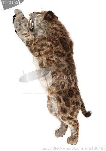 Image of Big Cat Smilodon