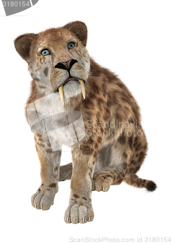 Image of Big Cat Smilodon