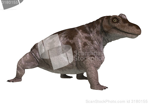 Image of Dinosaur Keratocephalus