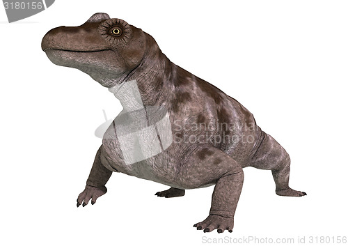 Image of Dinosaur Keratocephalus