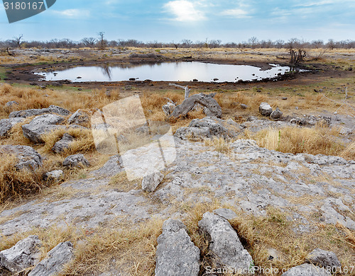 Image of Empty waterhole in namibia game reserve