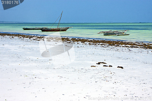 Image of  sand  beach   in zanzibar  
