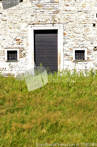 Image of grass arsago    closed wood italy  lombardy 