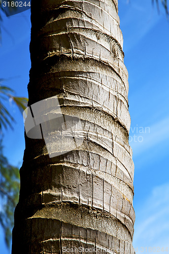 Image of  bark in kho tao   bay    thailand  and sky