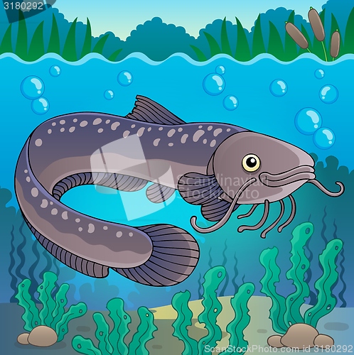 Image of Freshwater fish topic image 2