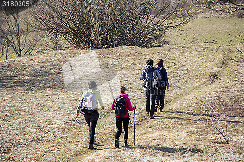 Image of Hikers walking