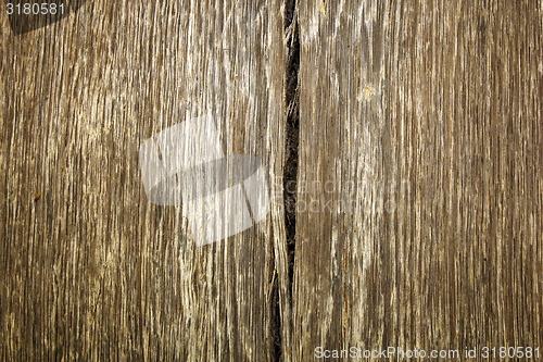 Image of ancient oak real wood texture 