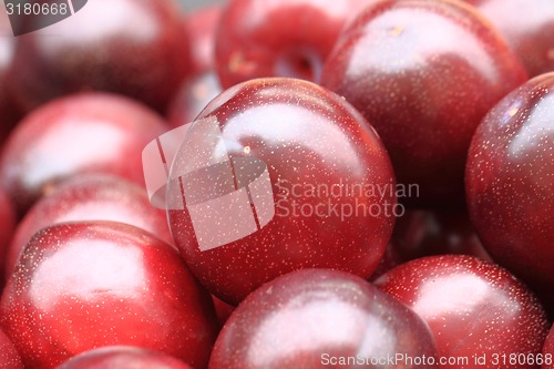 Image of plum fruit background