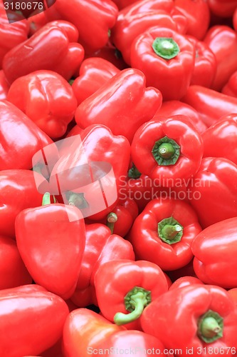 Image of red pepper bells background