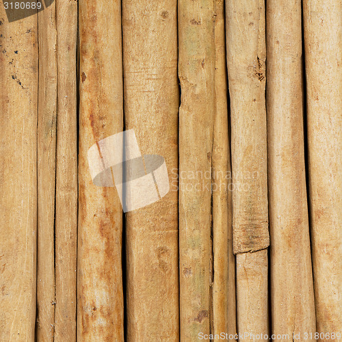 Image of Cinnamon sticks
