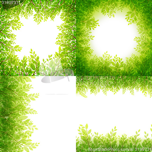 Image of Green leaves frame Set isolated on white. EPS 10