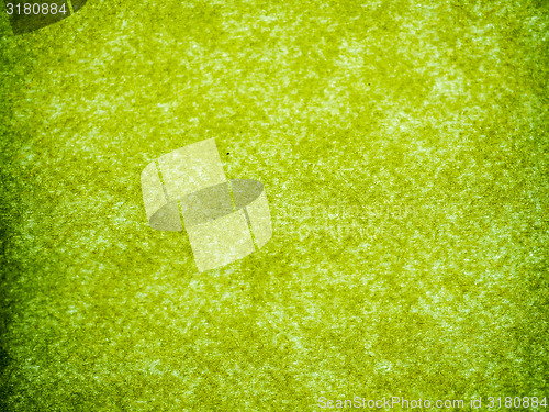 Image of Green paper background