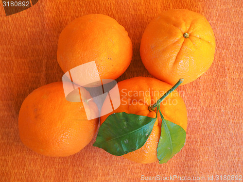 Image of Orange fruit