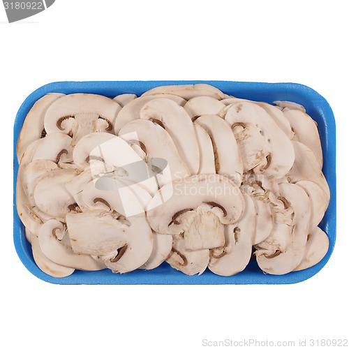 Image of Champignon mushroom isolated