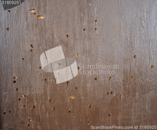Image of Wood damaged by furniture beetle
