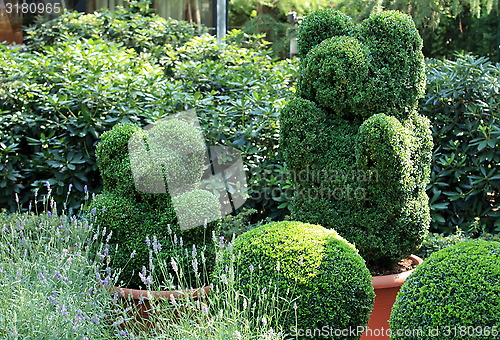 Image of topiary green bear