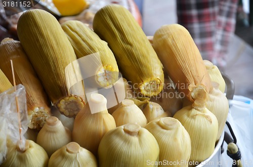 Image of Fresh steamed corn