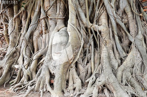 Image of The head of the sandstone buddha image