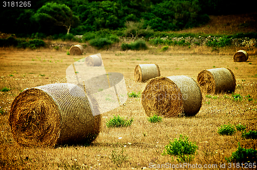 Image of Straw Bales