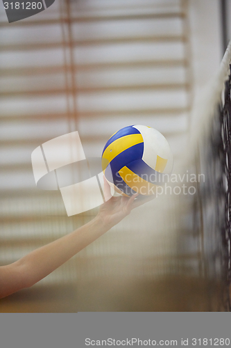 Image of volleyball