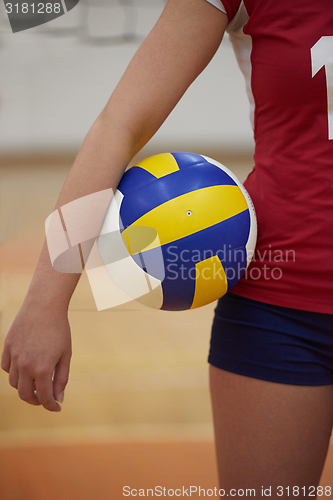 Image of volleyball