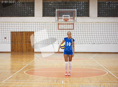 Image of volleyball